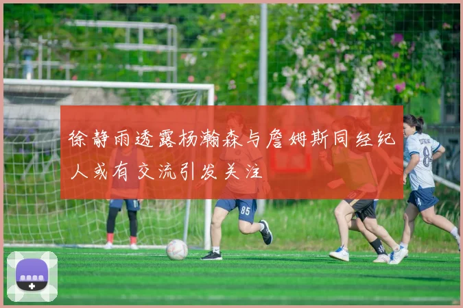 徐静雨透露杨瀚森与詹姆斯同经纪人或有交流引发关注