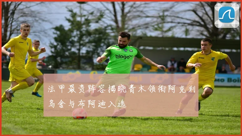 法甲最贵阵容揭晓青木领衔阿克利乌舍与布阿迪入选